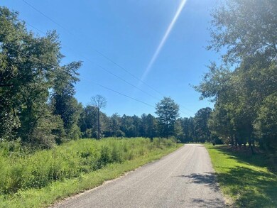 14 Firetower Rd, Tylertown, MS 39667 - photo 3