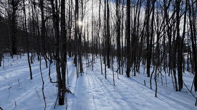 899 Common Rd, Waitsfield, VT 05673 - photo 6