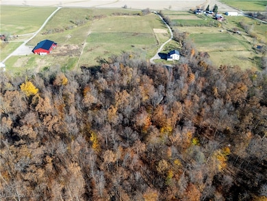 11890 Black River School Rd, Homerville, OH 44235 - photo 6