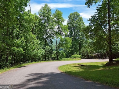 Lot 10 Hidden Summit Rd unit 10, Hiawassee, GA 30546 - photo 5