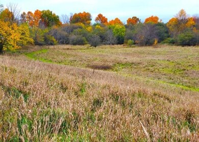 Screenshot 2025-03-11 111714