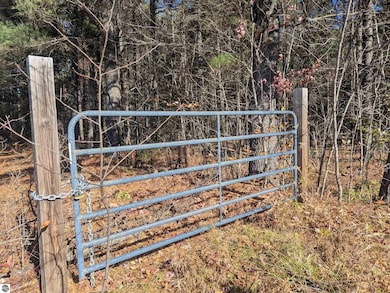 8133 Co Road 612 NE, Kalkaska, MI 49646 - photo 4