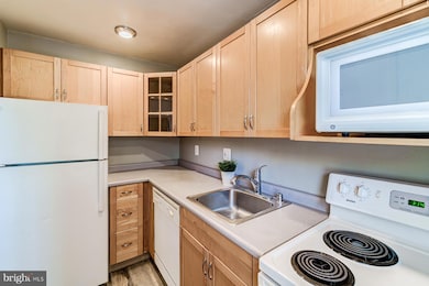 109 E Glebe Rd unit C, Alexandria, VA 22305 - photo 3