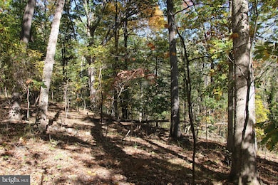 0 River View Place unit VAPA2005486, Shenandoah, VA 22849 - photo 7