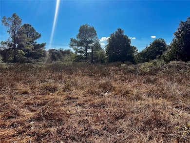 411 Laura Ln, Bastrop, TX 78602 - photo 4