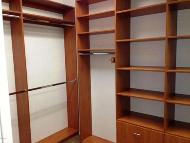 Master Closet Built Ins