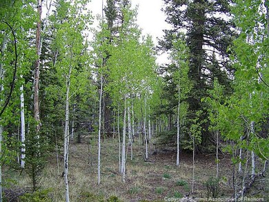 Land/Lot.