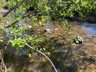 17,21,61 Cr 251, Vallecitos, NM 87581 - photo 4