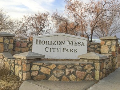 14421 Desert Ocotillo Dr, Horizon City, TX 79928 - photo 3