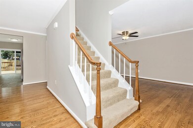 16 S Virginia Ave, Brunswick, MD 21716 - photo 3