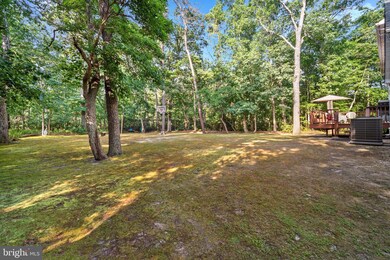 1053 Maple Ave, Atco, NJ 08004 - photo 5