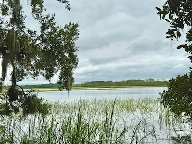 38 Net Weavers Place, Saint Helena Island, SC 29920 - photo 4