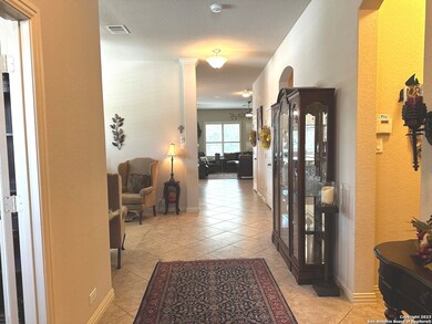 10402 Palmera Dr, Helotes, TX 78023 - photo 5