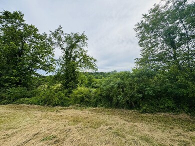 View from top flat area tract 2