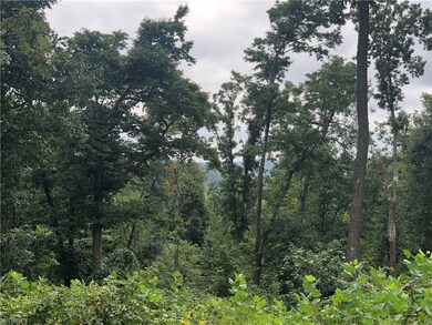 0 Chestnut Ridge Rd unit 4038675, Danville, OH 43014 - photo 2