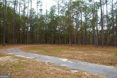 1206 Jasmine Rd, Dublin, GA 31021 - photo 4