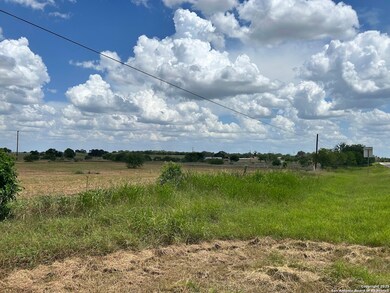 8774 N US Hwy 281, Leming, TX 78050 - photo 4