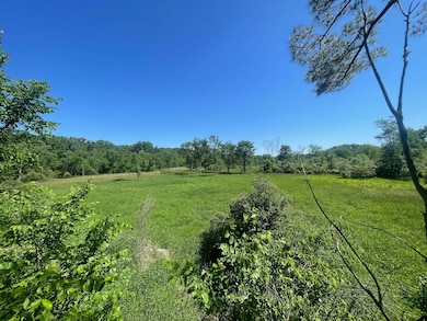 9890 Springport Rd, Parma, MI 49269 - photo 3