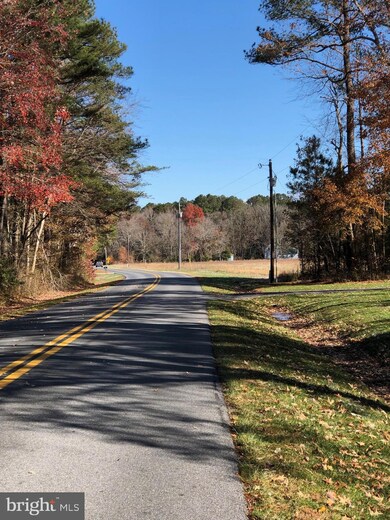 Lot 1 Peterkins Rd, Georgetown, DE 19947 - photo 4