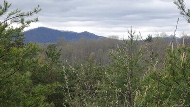 17 Chapel Hill Place unit 38, Leicester, NC 28748 - photo 7