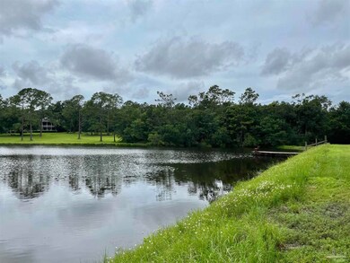 off side of backyard -pier & stocked w/ fish!