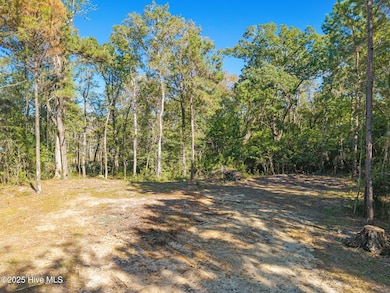 10-web-or-mls-CamMediaLLC.com (8 of 17)