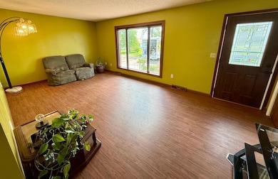 68680 470th St, Fairfax, MN 55332 - photo 3