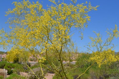 10 Acres (4)