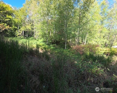 7002 Ocean Beach Hwy, Longview, WA 98632 - photo 4