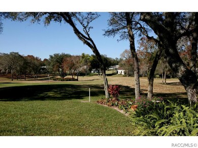 Rear Yard