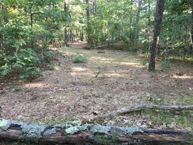 15 Oak Hill Ln unit Lot 1A, South Yarmouth, MA 02664 - photo 6