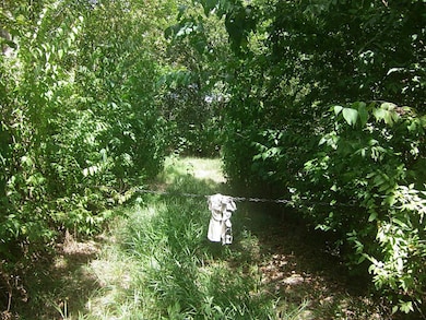 6030 Trinity Rd, Needville, TX 77461 - photo 3