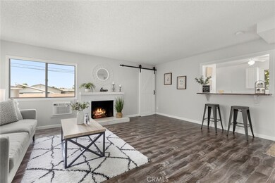 Shows Light and Bright