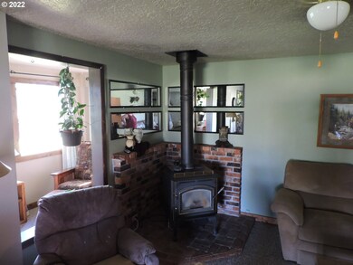 Fireplace Gas Burning Stove/Insert