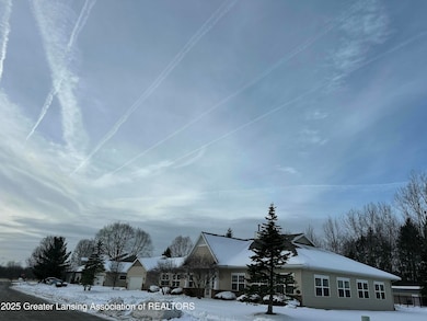 233 Barrington Cir unit 75, Lansing, MI 48917 - photo 5