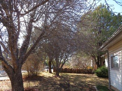 260 S 5th Place, Show Low, AZ 85901 - photo 3