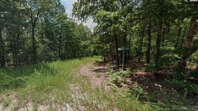 Watauga Ln Cherokee Village unit AR 72529, Cherokee Village, AR 72529 - photo 5