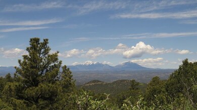 32450 Timber Ridge Ln unit B31, Trinidad, CO 81082 - photo 2