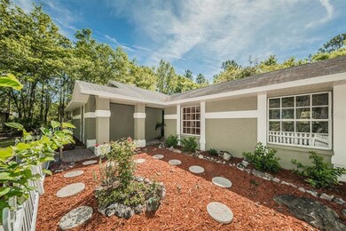 34704 Wright Ln, Wesley Chapel, FL 33545 - photo 4