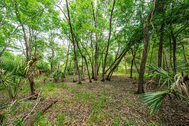 Lot 6-13