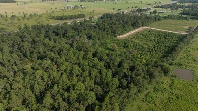 TBD Hwy 171 Hwy, Longville, LA 70652 - photo 4