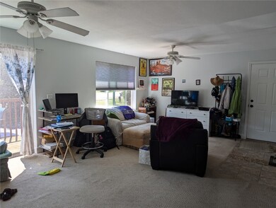Living room featuring carpet and ceiling fan
