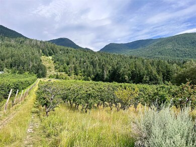 23398 Mt Highway 35, Bigfork, MT 59911 - photo 4