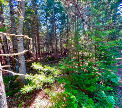 Also available with adjacent lot