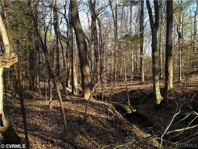 XX Mount Moriah Rd, Powhatan, VA 23139 - photo 7