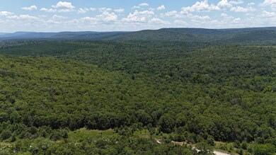 0 Bengal Rd unit 25498271, Red Oak, OK 74563 - photo 2