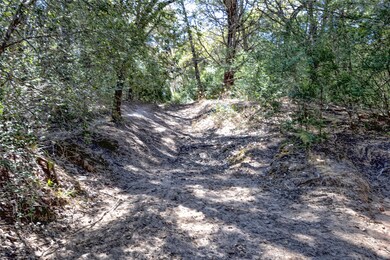 3550 County Road 387, Hallettsville, TX 77964 - photo 7