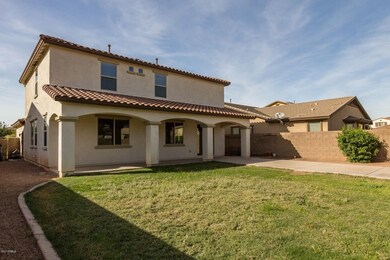 8 large back yard