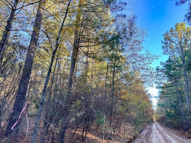 0 Fm 2120 unit 22715325, Bagwell, TX 75412 - photo 5