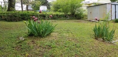20190419_1351041